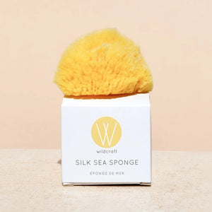 Silk Sea Sponge